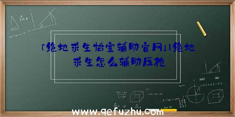 「绝地求生怡宝辅助官网」|绝地求生怎么辅助压枪